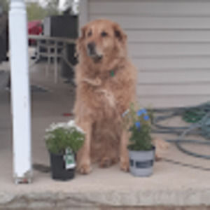 Meet your Posher, Anna